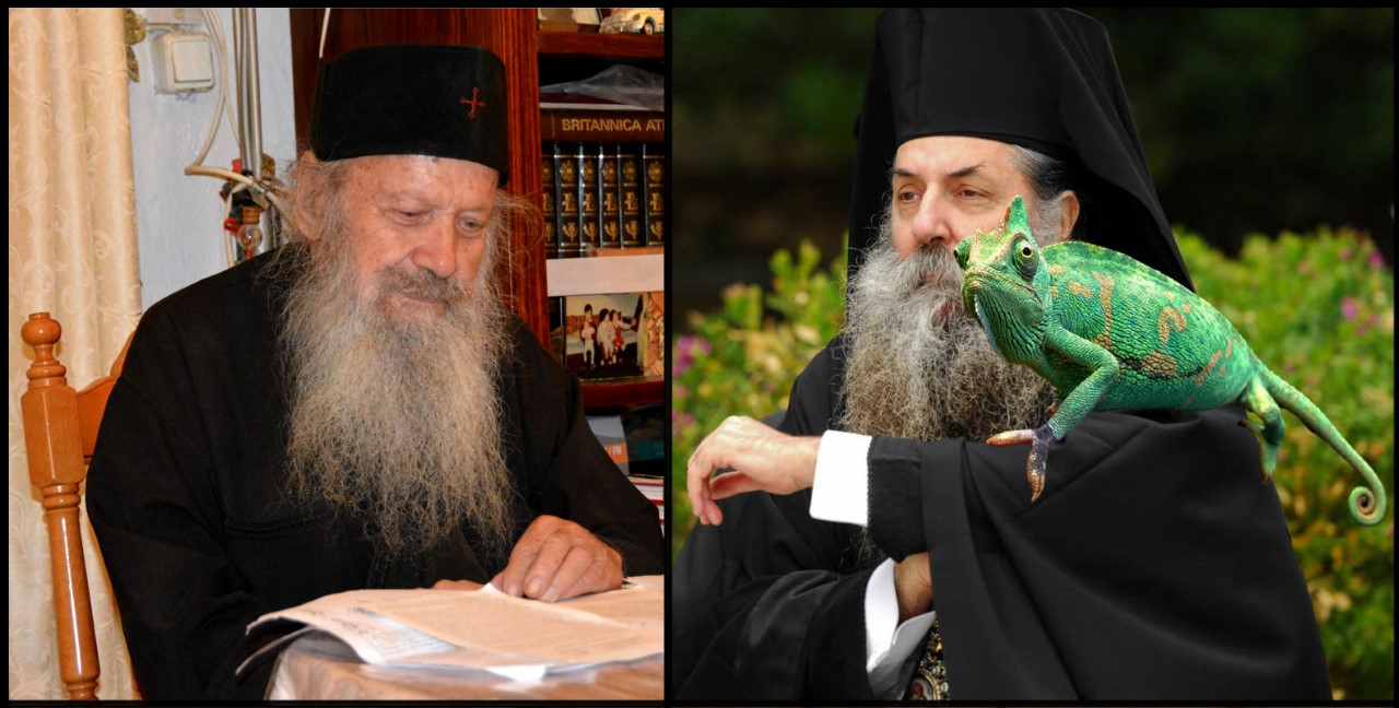 ΛΕΩΝ  Ή ΧΑΜΑΙΛΕΩΝ; …ποίημα Γέροντος Μαξίμου