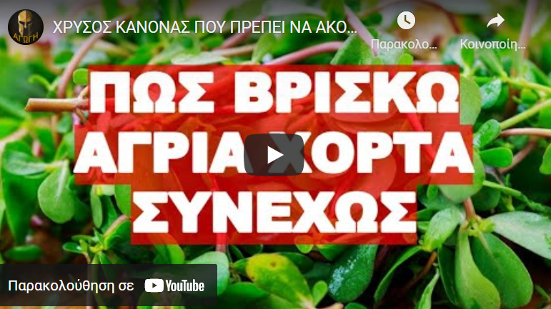 ΧΡΥΣΟΣ ΚΑΝΟΝΑΣ ΠΟΥ ΠΡΕΠΕΙ ΝΑ ΑΚΟΛΟΥΘΕΙΣ ΓΙΑ ΝΑ ΒΡΙΣΚΕΙΣ ΠΑΝΤΟΤΕ ΑΓΡΙΑ ΧΟΡΤΑ !