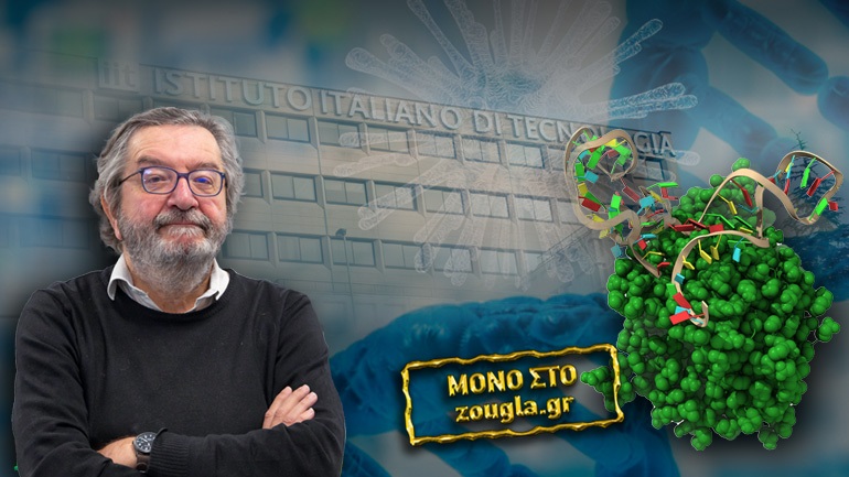 Μεγάλη ανακάλυψη Ιταλών ερευνητών κατά του Covid-19  … ΜΠΛΟΚΑΡΑΝ IN VITRO ΤΟΝ ΙΟ ΚΑΙ ΤΙΣ ΜΕΤΑΛΛΑΞΕΙΣ ΤΟΥ