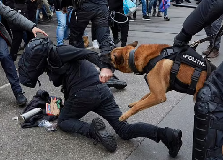 ΒΙΝΤΕΟ ΣΟΚ: Αστυνομικός σκύλος ΔΑΓΚΩΝΕΙ διαδηλωτή – Ζωντανεύουν τον ΕΦΙΑΛΤΗ