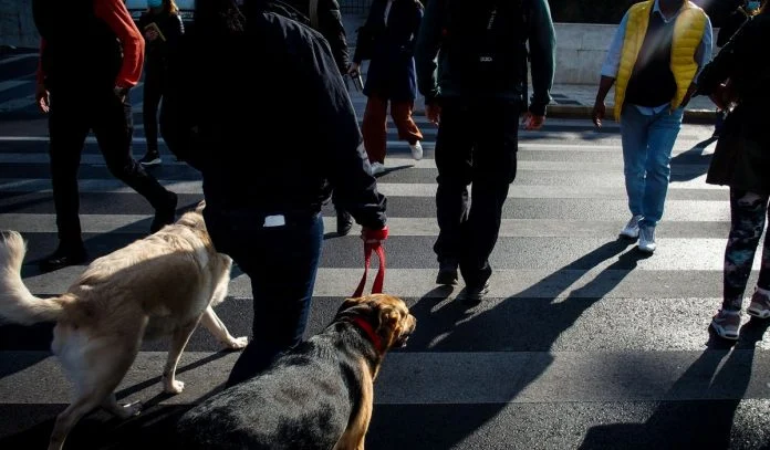 Προβλέπει ακόμα και 80.000 κρούσματα ο Σαρηγιάννης και ζητά μέτρα ως τις 30 Ιανουαρίου