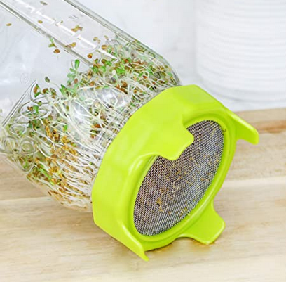 sprouting-jar-lid