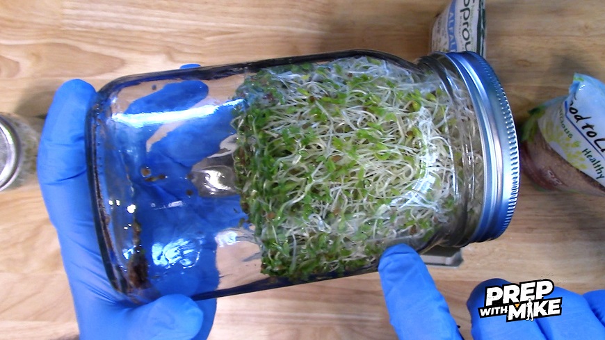 Natural News – Βόμβα: Μπορεί να αντιστραφεί η βλάβη του νεύρου από το εμβόλιο με αυτό το εγχώριο μόριο που ονομάζεται σουλφοραφάνη;