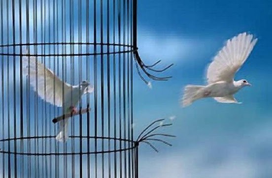 ΑΤΟΦΙΑ ΕΛΕΥΘΕΡΙΑ … Ποίημα υγειονομικού σε αναστολή