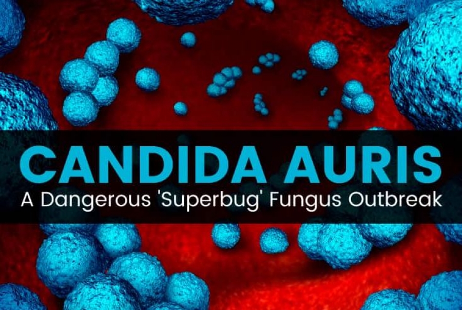 Συναγερμός ΕΟΔΥ για τον θανατηφόρο ιό Candida auris: Διαδέχεται τον κορωνοϊό με θνητότητα – σοκ 60% – Αποκάλυψη Σύψα