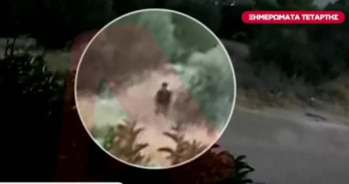 Βίντεο-ντοκουμέντο με εμπρηστή σε περιοχή κοντά στην Παλλήνη