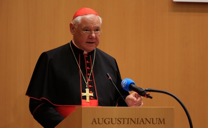 Cdl. Müller: Μπιλ Γκέιτς και Τζορτζ Σόρος αντιπροσωπεύουν τη “διαβολική” Νέα Τάξη Πραγμάτων