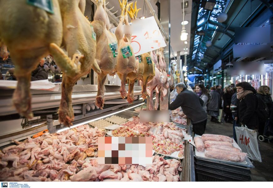 «ΧΤΥΠΗΜΑ» στα τρόφιμα: Σφάζουν ΜΑΖΙΚΑ πουλερικά και τα πετάνε!!! Ρεπορτάζ έρχεται να σηκώσει θύελλα, vid