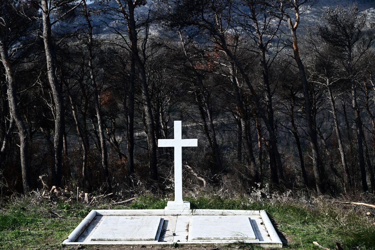 Νατσιός Δημήτρης : «Βασιλομάστιγες και βασιλοκόλακες»