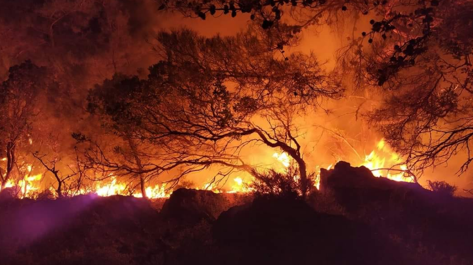Τρελάθηκε ο πρωθυπουργός ή η φύση, και καταστρέφει τον εαυτό της;