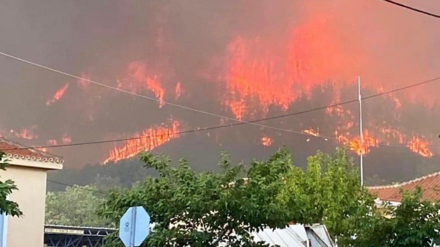 Στάχτη όλη η Ελλάδα: Ξεσπούν διαρκώς νέα μέτωπα, ανεξέλεγκτη η φωτιά – Κάηκαν 26 μετανάστες – Εμφανίστηκε ο… Μητσοτάκης
