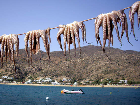 Τι σας έλεγαν τόσο καιρό οι “ψεκασμένοι” ; Ότι θα σας επιβάλλει η κυβέρνηση ταυτότητα με “τσίπ”!! Τώρα το εμπεδώσατε ότι θα τσιπαριστείτε σαν τα αμνοερίφια ή ακόμη;