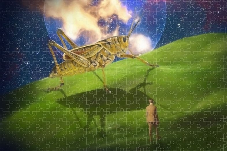 Το Τέλος του ΟΗΕ & Ζήτω τα UFO