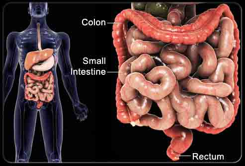 constipation-abdominal-pain