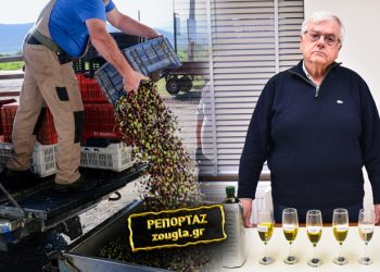Αυτοψία της «Ζούγκλας» στη νοθεία του ελαιολάδου