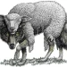 Γ.Μ : Αυτά τα Χριστούγεννα …
