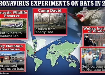Dailymail: «Αρχεία-βόμβα δείχνουν σχέδιο για τη δημιουργία ενός νέου ιού «SARS-CoV» με σκοπό να δημιουργηθούν εμβόλια απο το 2018».