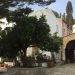 Γεώργιος Κ. Τζανάκης : Πατριαρχικὰ Σταυροπήγια τῆς Κρήτης καὶ Ἐκκλησία τῆς Κρήτης. Πραγματικότητες καὶ φαντασιώσεις.