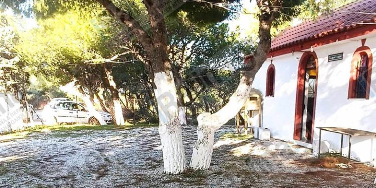 Τραγωδία στη Ραφήνα: Μητέρα ενός παιδιού η 35χρονη που βρέθηκε κρεμασμένη σε δέντρο