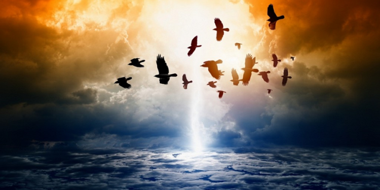 GEWKWN : ΕΙΣΑΙ ΣΙΓΟΥΡΟΣ ΟΤΙ ΘΑ ΕΙΣΑΙ ΑΠΟ ΤΟΥΣ ΕΠΙΖΩΝΤΕΣ ;