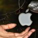 ΤΕΧΝΙΚΗ ΝΟΗΜΟΣΥΝΗ: Το μήλο (apple) του Παραδείσου. π.Διονύσιος Ταμπάκης