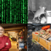 Ένα νέο σφάλμα στο Matrix: τα ζώα δείχνουν θαύματα ευφυΐας.