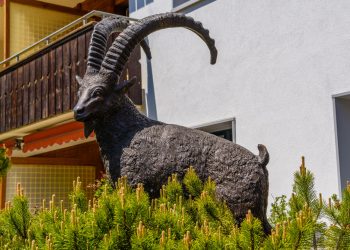 Δείτε τα λεγόμενα «τσιράκια» που επιβάλλουν φόρους σε όλους μας να ρεζιλεύονται στο Νταβός