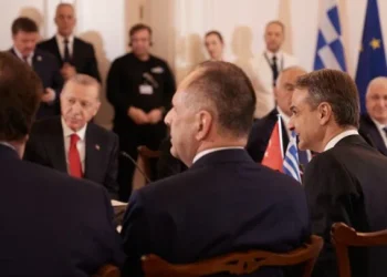 Νεοταξική πολιτική υπέρ των Τούρκων