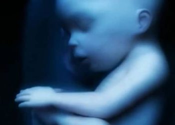 Η Γαλλία κατεβάζει ρολά σε ιστοσελίδα κατά των αμβλώσεων