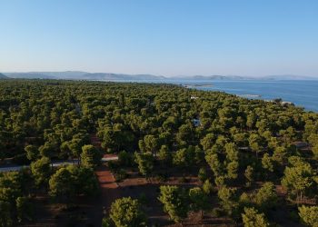 ΠΟΠΗ ΖΩΗ : ΔΙΚΗ ΓΙΑ ΤΟ ΜΑΤΙ