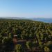 ΠΟΠΗ ΖΩΗ : ΔΙΚΗ ΓΙΑ ΤΟ ΜΑΤΙ