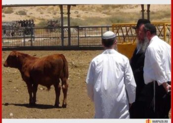 Μπάιντεν : Είπα στον Νετανιάχου ότι εσύ κι εγώ θα συναντήσουμε σύντομα «τον Μεσσία (Αντίχριστο) στην Ιερουσαλήμ»!