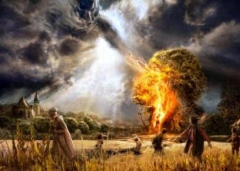 ΑΓΙΟΡΕΙΤΕΣ ΠΑΤΕΡΕΣ : ΝΟΜΟΙ ΚΑΙ ΤΡΟΠΟΙ ΑΣΥΓΚΡΙΤΑ ΧΕΙΡΟΤΕΡΟΙ ΤΩΝ ΣΟΔΟΜΩΝ ΚΑΙ ΓΑΒΑΑ.
