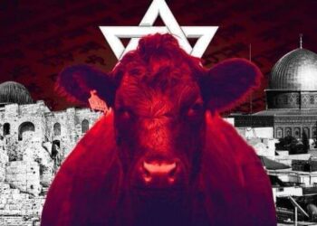 haaretz: αρκετοί Υπουργοί Νετανιάχου υπέρ ανέγερσης Γ’ Ναού! Αναβολή. Η κόκκινη δαμάλα κρίθηκε ακατάλληλη!!