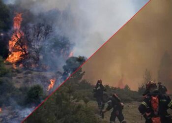 Η Ελλάδα ξεκίνησε να καίγεται, πυροσβεστικά δεν υπάρχουν και αυτά που αγοράστηκαν είναι ίδια με τα παλιά ανεπαρκή Canadair