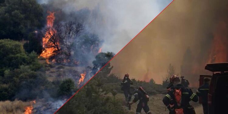 Η Ελλάδα ξεκίνησε να καίγεται, πυροσβεστικά δεν υπάρχουν και αυτά που αγοράστηκαν είναι ίδια με τα παλιά ανεπαρκή Canadair