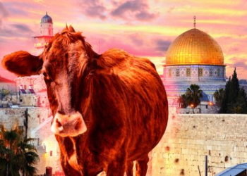 ΣΗΜΕΙΟΛΟΓΙΑ Η Κόκκινη Μόσχα (Mos-cow) είναι η κόκκινη δαμάλα που οφείλουν να θυσιάσουν οι Εβραίοι για να καθαγιάσουν την ανέγερση του Τρίτου Ναού; εξού και όλος ο πόλεμος κατά Ρωσίας ;