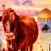 ΣΗΜΕΙΟΛΟΓΙΑ Η Κόκκινη Μόσχα (Mos-cow) είναι η κόκκινη δαμάλα που οφείλουν να θυσιάσουν οι Εβραίοι για να καθαγιάσουν την ανέγερση του Τρίτου Ναού; εξού και όλος ο πόλεμος κατά Ρωσίας ;