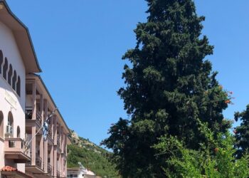 Δρ Κ. Βαρδάκας : αυτό δεν ήταν χαστούκι ήταν “μάνα εξ ουρανού” για το σύστημα ;