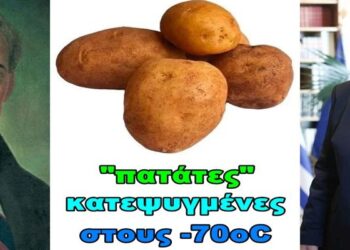 BAS_4 : “πατάτες” κατεψυγμένες στους -70ºC