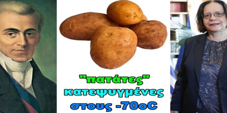 BAS_4 : “πατάτες” κατεψυγμένες στους -70ºC