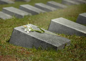 Γεμίζουν τα νεκροταφεία των ΗΠΑ με Αμερικανούς που σκοτώθηκαν στην Ουκρανία!! vid