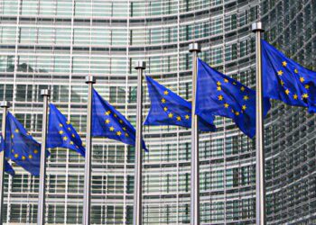 O νέος Κανονισμός της ΕΕ για τις ουσίες ανθρώπινης προέλευσης εγκαθιδρύει ένα καθεστώς οιονεί εμπορευματοποίησης των εμβρύων