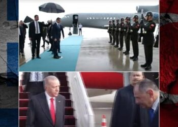 Επιφυλλίδα Κρινιώς Καλογερίδου : Ως επαγγελματίες κατευναστές ”καταπίνουμε την κάμηλο” για μια επίπλαστη ειρήνη