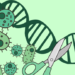 Πώς μπορεί το CRISPR να εξαλείψει τη μικροβιακή αντοχή;