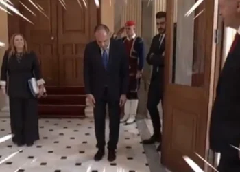 Επιφυλλίδα Κρινιώς Καλογερίδου : Ως μικροί και ανασφαλείς καταπίνουμε τις τουρκικές ”αγριάδες”…