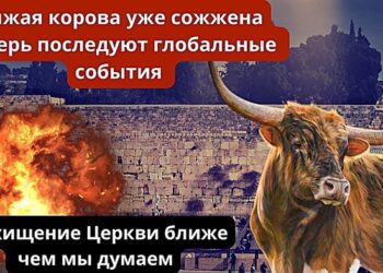 Θυσιάστηκε η κόκκινη δαμάλα στα Ιεροσόλυμα στις 23/4/24; άρχισαν οι προετοιμασίες ανέγερσης Τρίτου Ναού που σηματοδοτεί Έλευση ”Μεσσία” (Αντίχριστος);.
