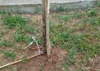 Ντροπή: Βανδάλισαν το πάρκο που είχαν φυτευτεί δέντρα στην μνήμη των θυμάτων στα Τέμπη!