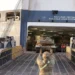 ΗΛΙΑΣ Δ. ΚΑΛΛΙΩΡΑΣ : Η ΕΛΛΑΔΑ ΚΑΙ Ο ΚΟΣΜΟΣ ΣΗΜΕΡΑ, ΣΕ ΤΙΤΛΟΥΣ (4/6/2024)