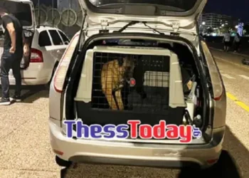 Ύποπτο αντικείμενο εντοπίστηκε κοντά στη συναυλία του Europride στη Θεσσαλονίκη